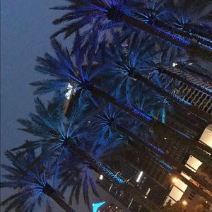 Meet your Posher, Surena